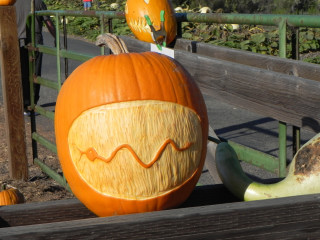 Snake, Nipomo Pumpkin Patch best carving idea
